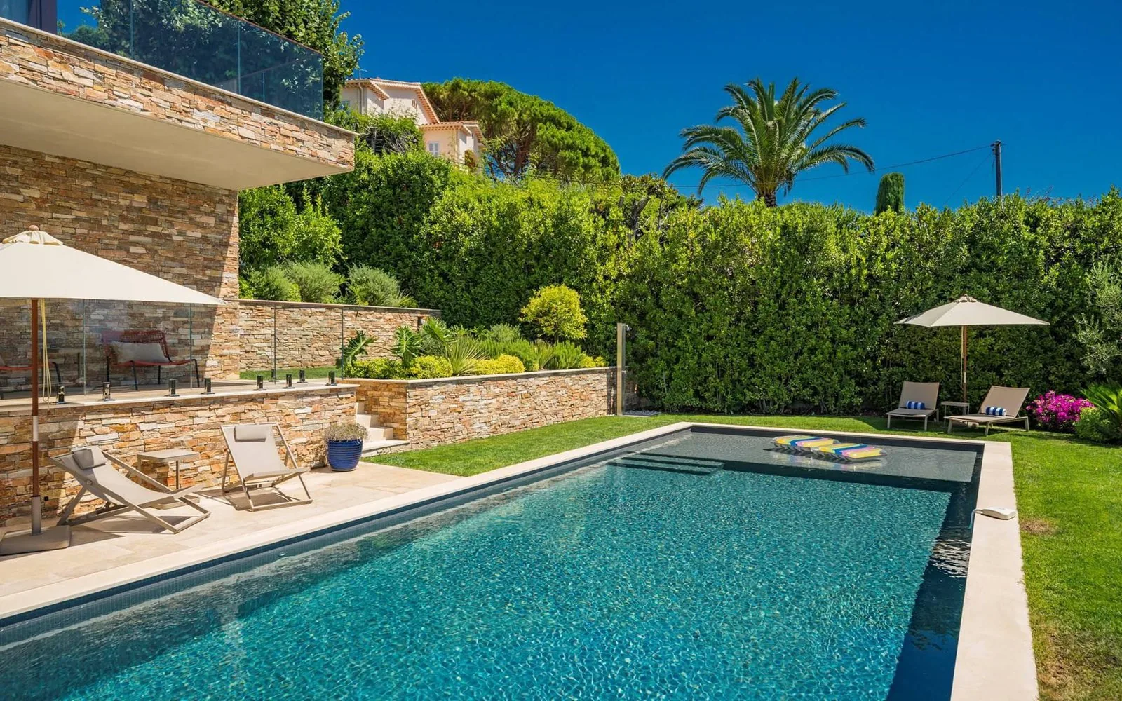 Piscine vue palmiers