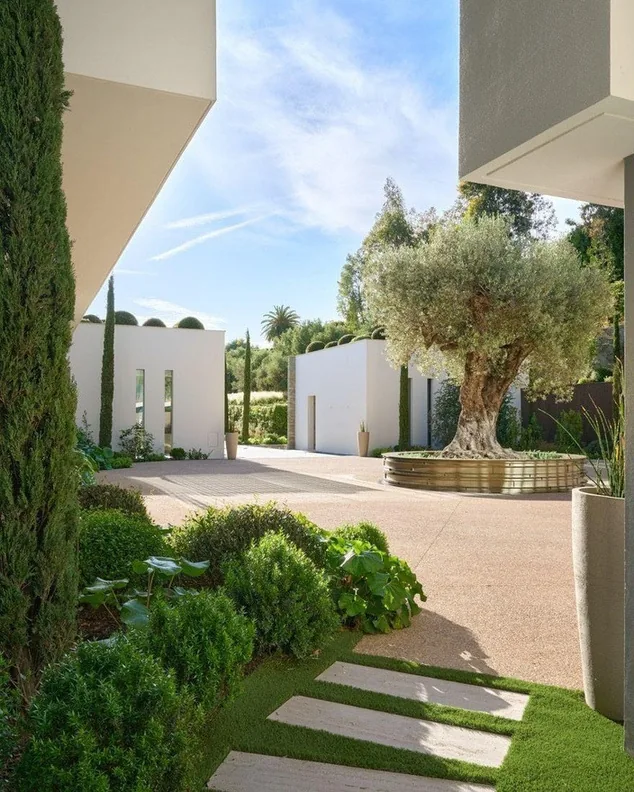 Allee de jardin entre oliviers et cypres